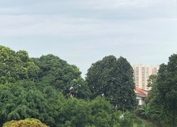 Sembawang Hills Estate (D20), Semi-Detached #176803662